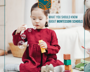 What You Should Know About Montessori Schools