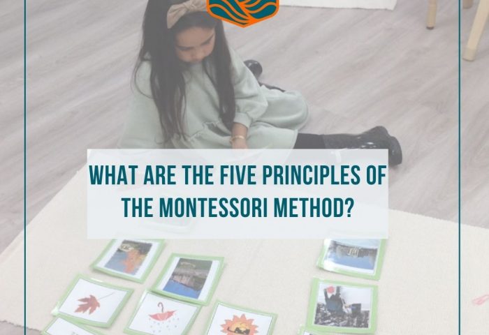 What are the five principles of the Montessori Method?