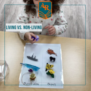  School Activities at Alder Ridge Montessori School Living vs Non-Living